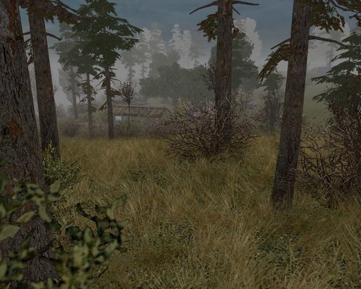 В тылу врага 2: Лис пустыни		 - Stalker Mod