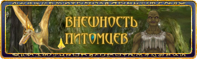 Внешность питомца!